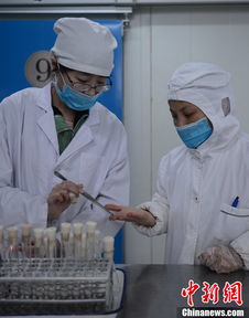 探訪(fǎng)航空食品廠(chǎng)